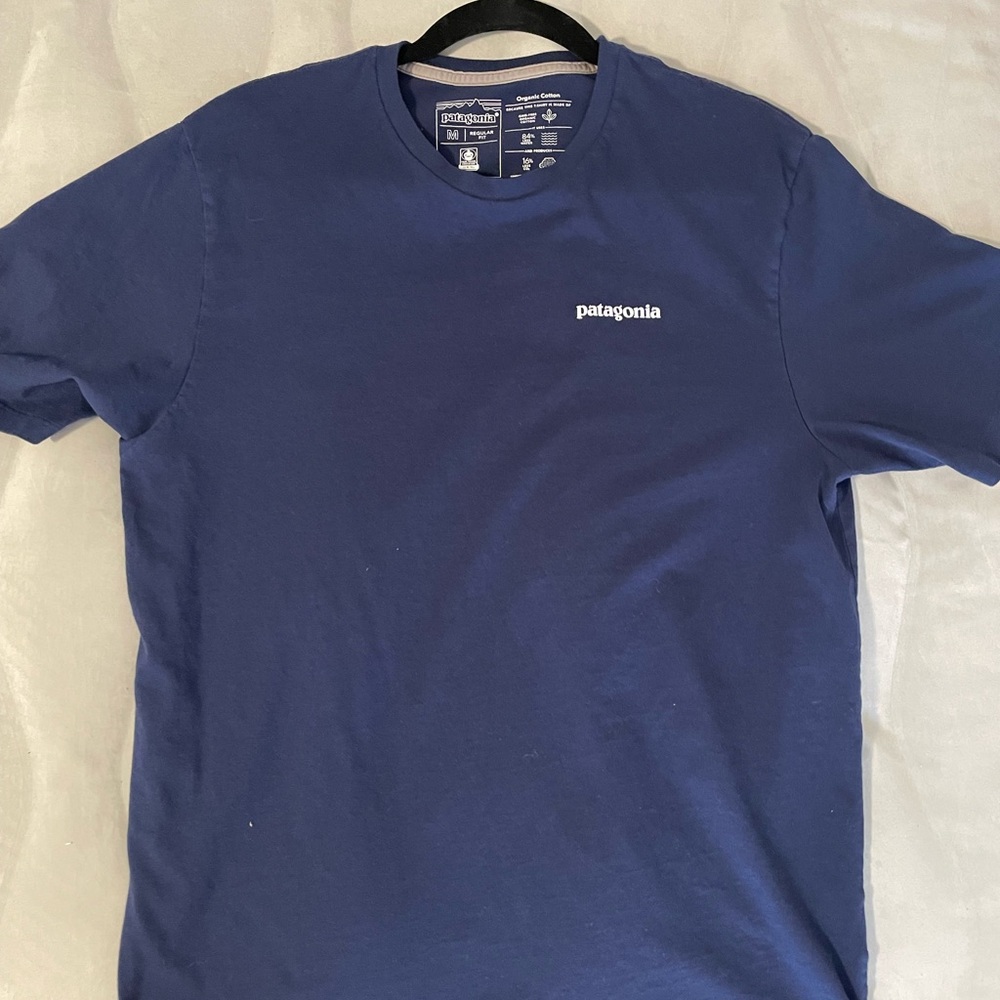 Patagonia Organic Cotton Tee - Blue Short Sleeve Crew Neck